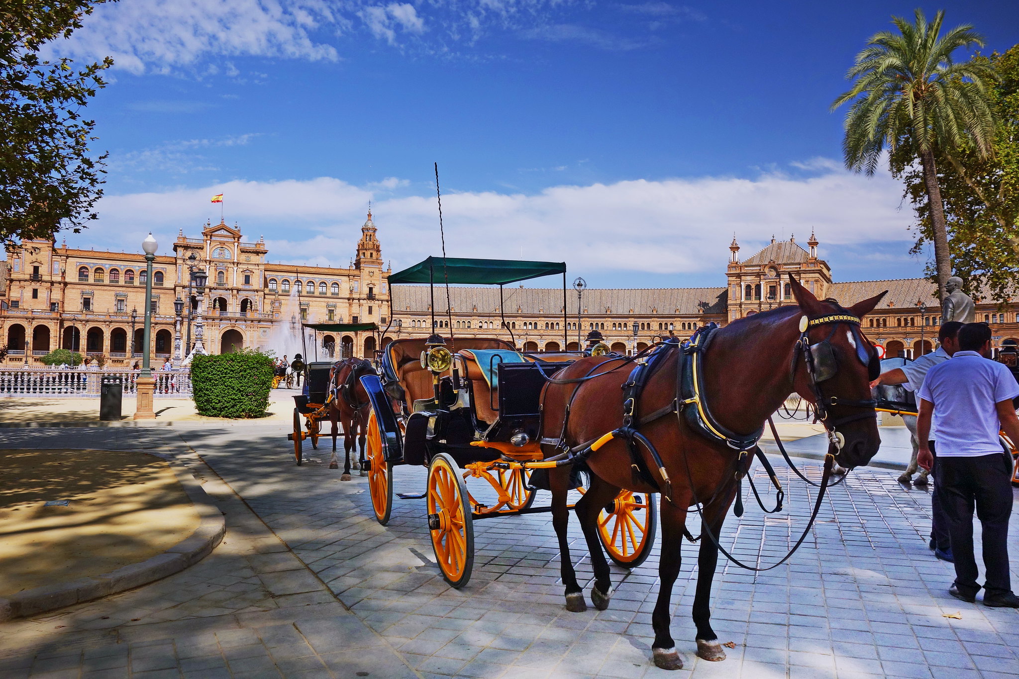 Paseo en Calesa por Sevilla