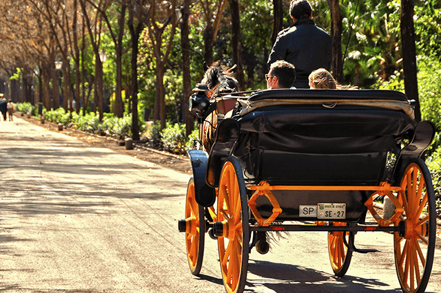 Paseo en Calesa por Sevilla